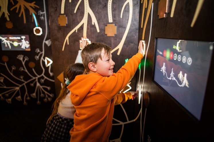 Food web exhibit